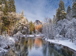 Las, Stan Kalifornia, Gry, Zima, Park Narodowy Yosemite, Stany Zjednoczone, Rzeka Merced River
